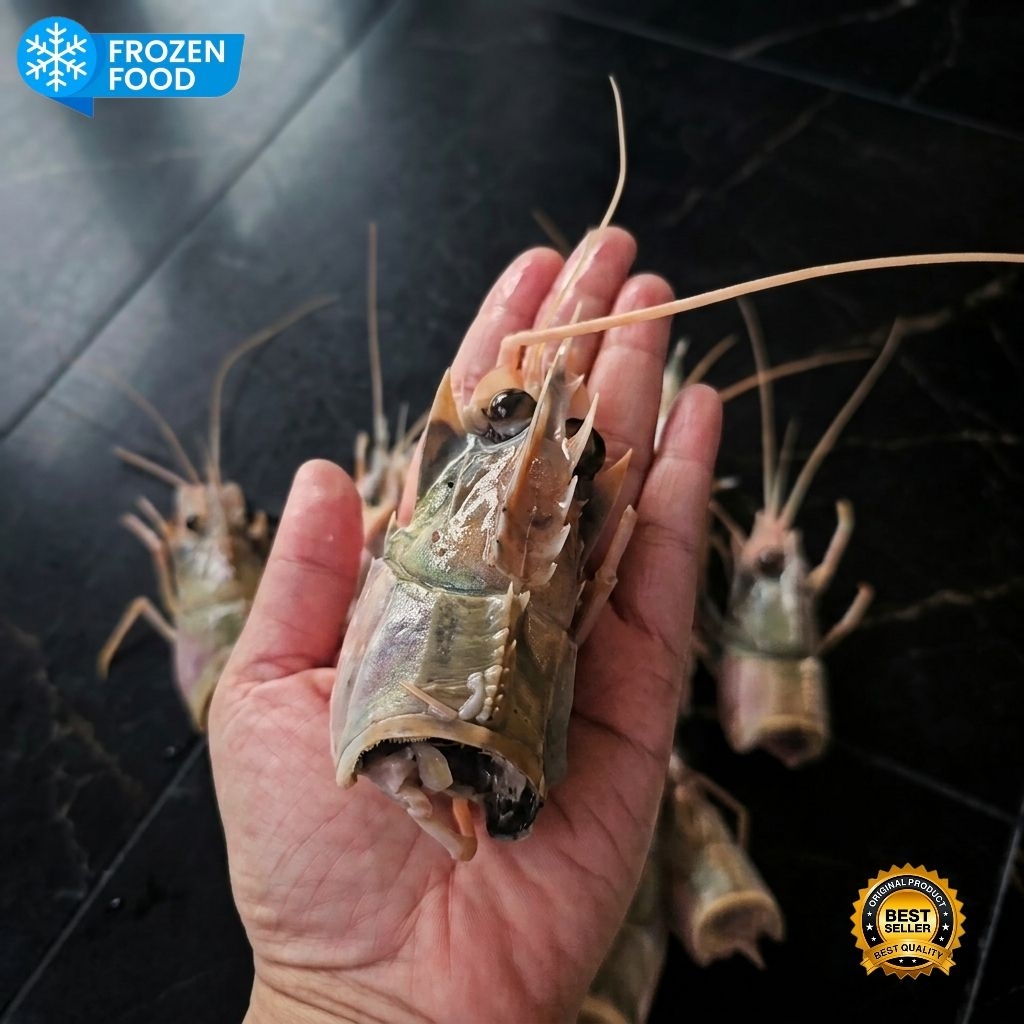 Kepala udang TIGER LAUT 1kg ukuran besar penguat rasa dan aroma kaldu udang