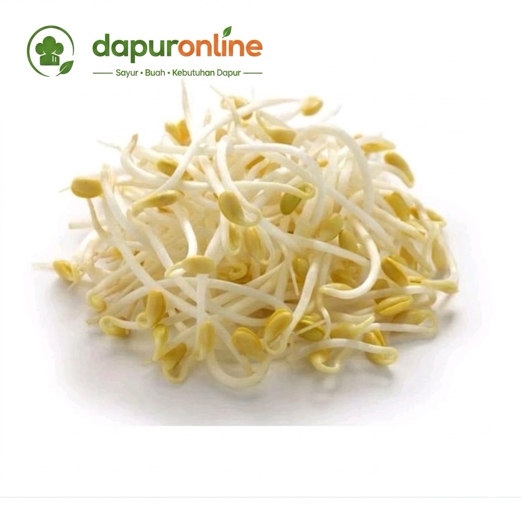 kecambah / tauge besar / tauge panjang segar 250gr-1kg