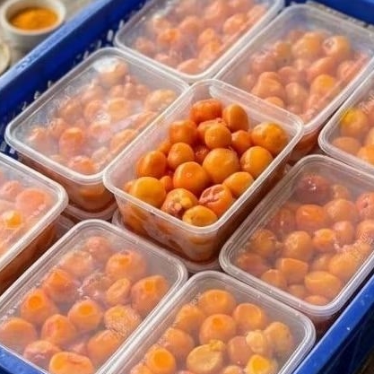 Frozen Uritan Ayam Mentah MURAH