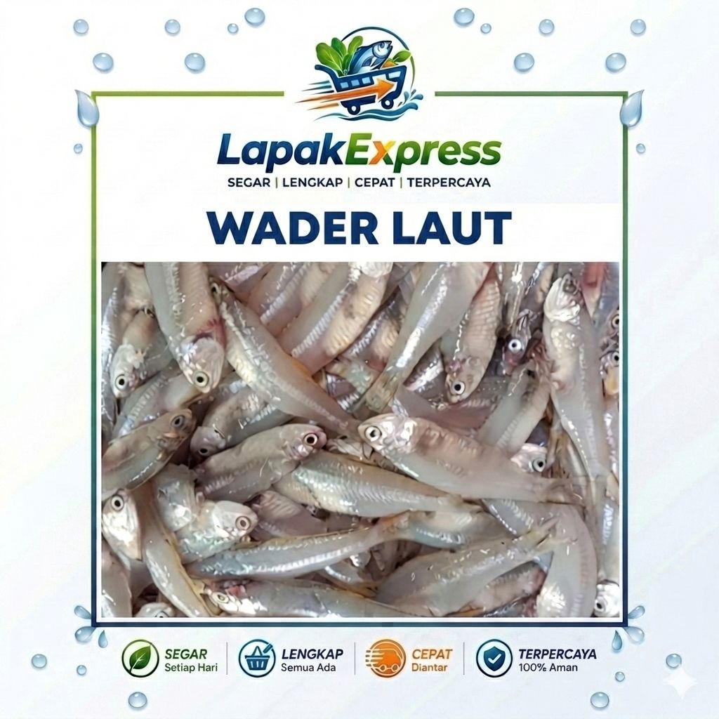 Ikan Wader Laut Segar / Wader Paray Konsumsi / Ikan Laut Segar Harian LapakExpress