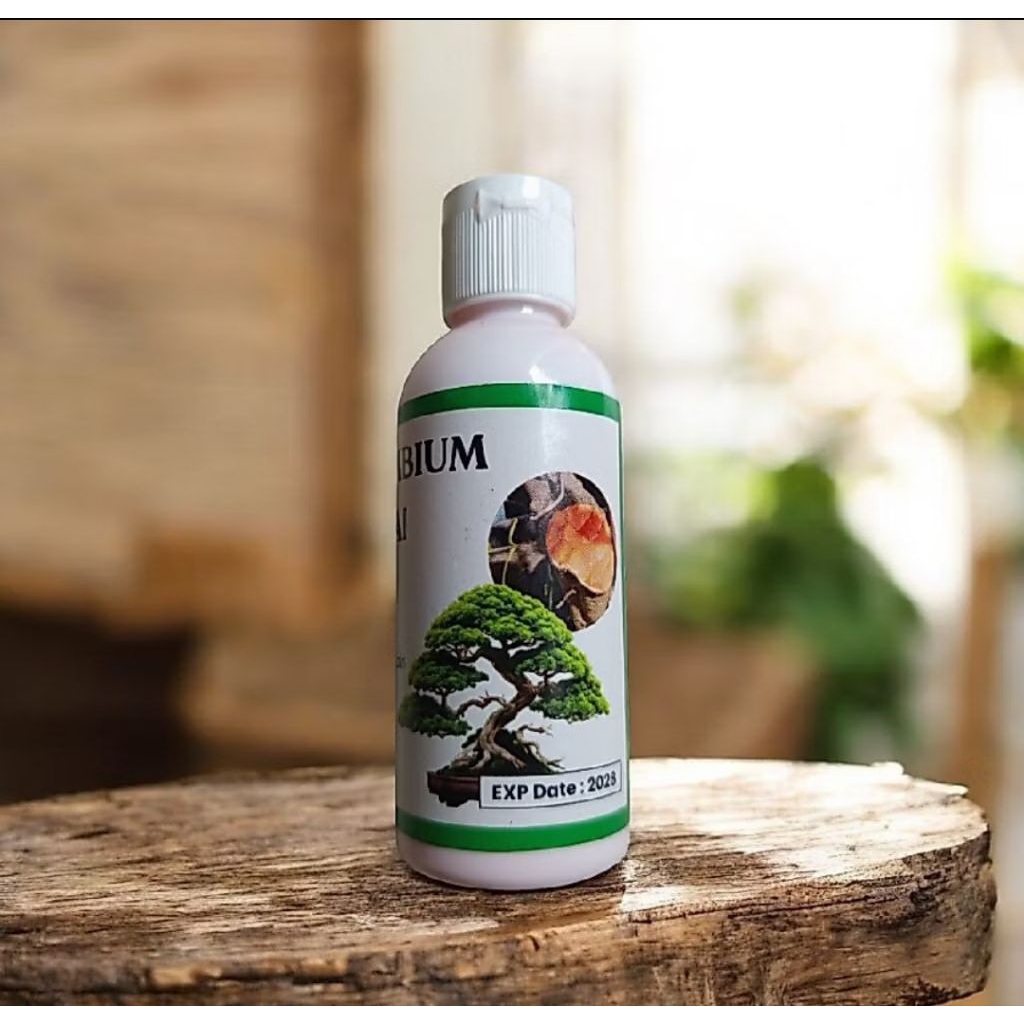 Salep Kambium Bonsai Premium / Salep Kambium F1 Qualitas Terbaik Harga Termurah