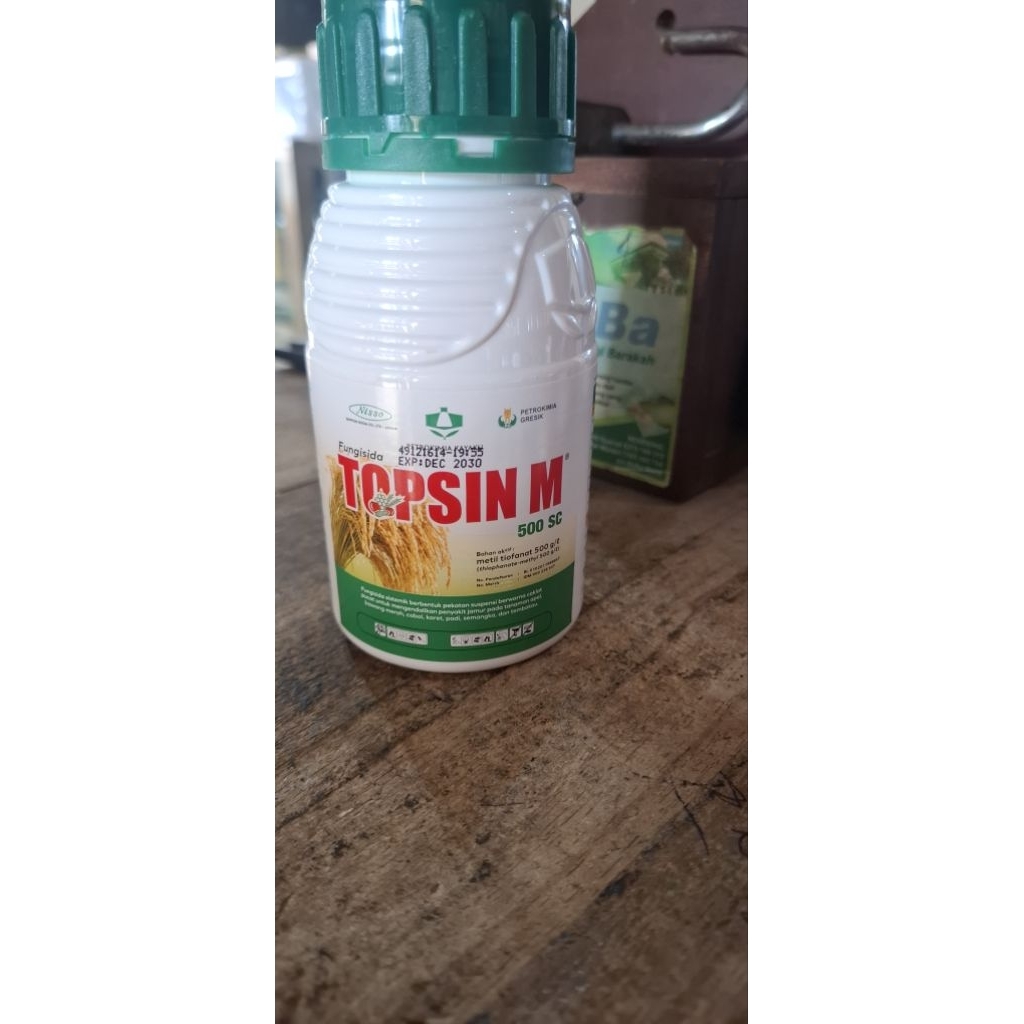 TOPSIN