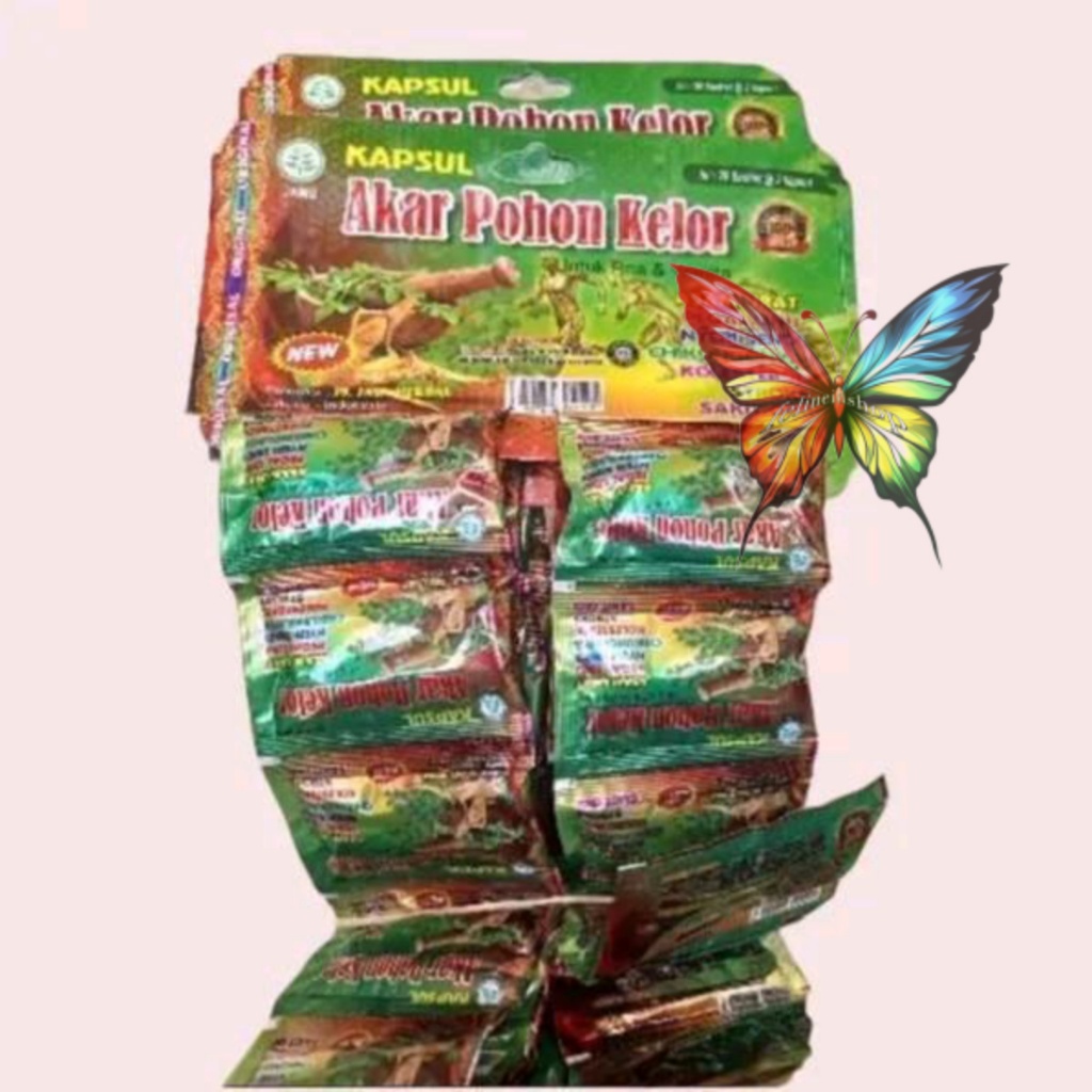 cod akar pohon kelor