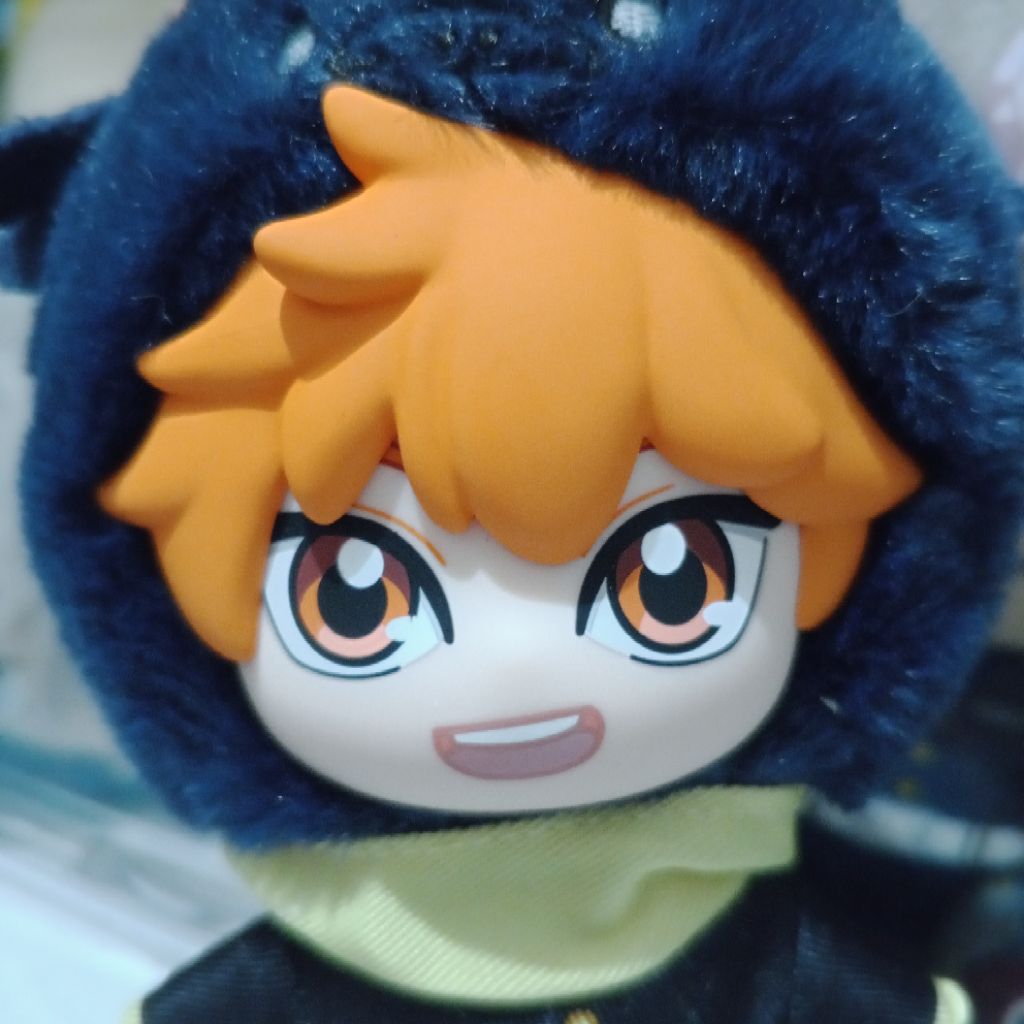 Shoyo Hinata EAKI Plush Haikyuu Official