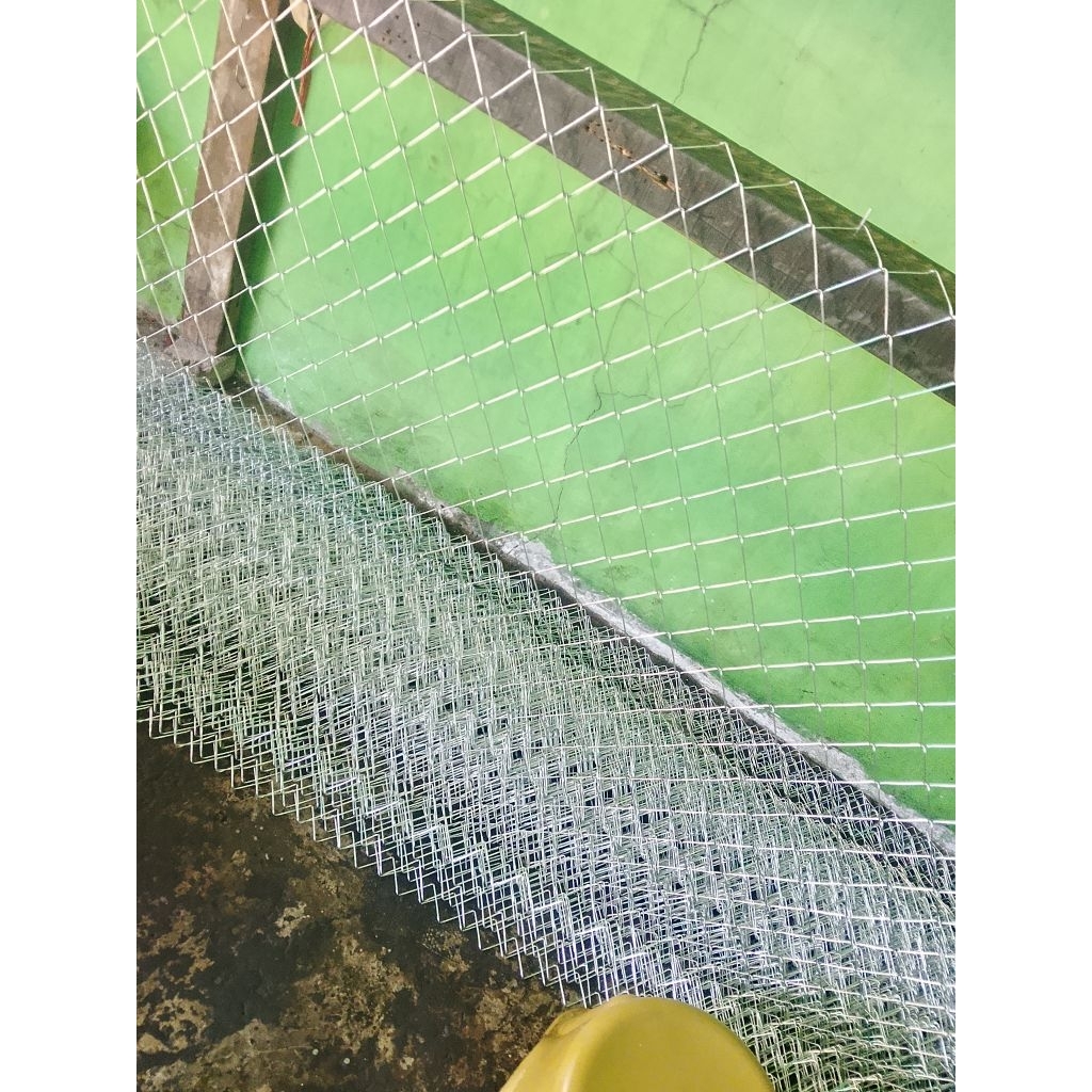 Kawat harmonika galvanis tebal kawat 1, 6 mm lubang 4×4cm Tinggi 1 meter lebar 1meter