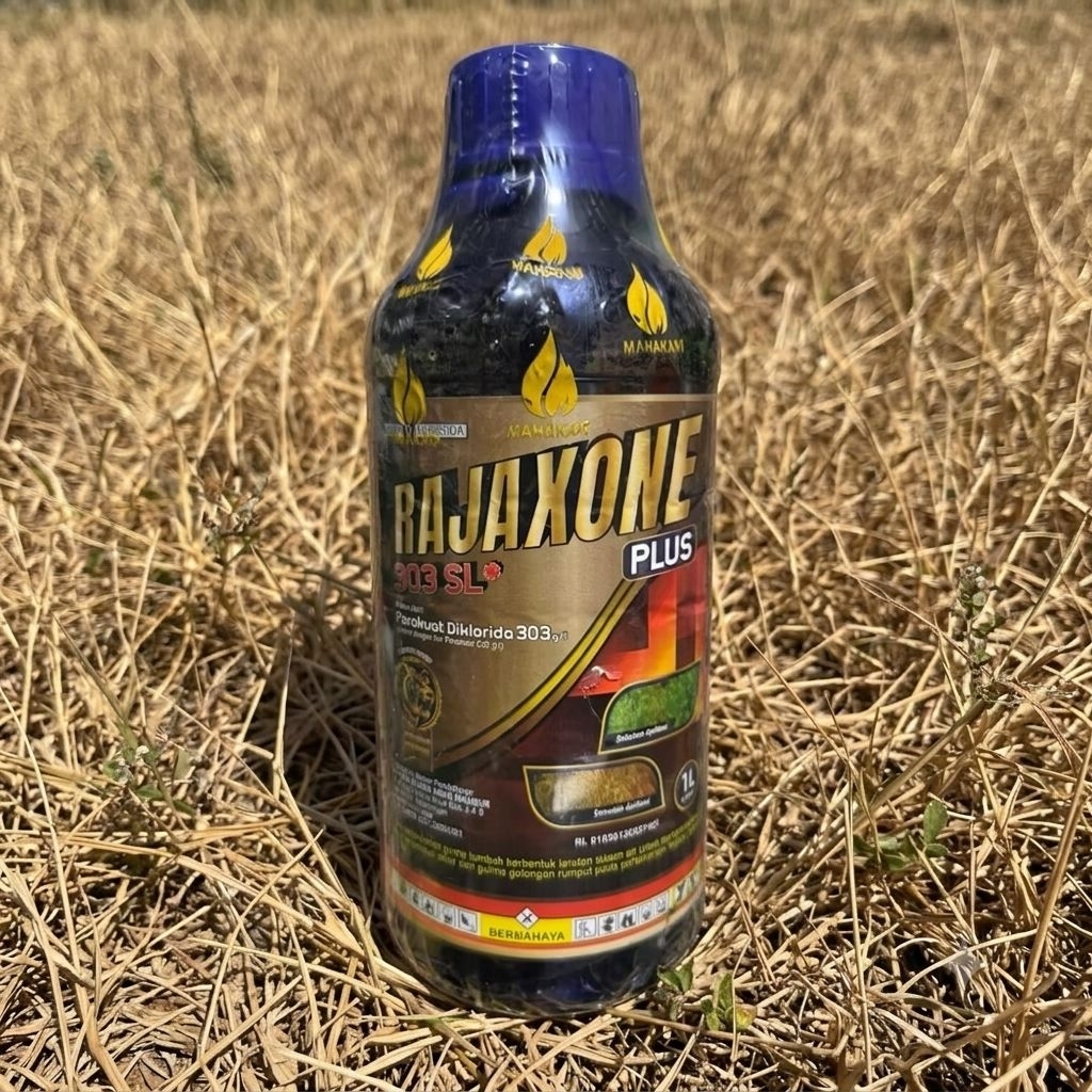 RAJAXONE PLUS