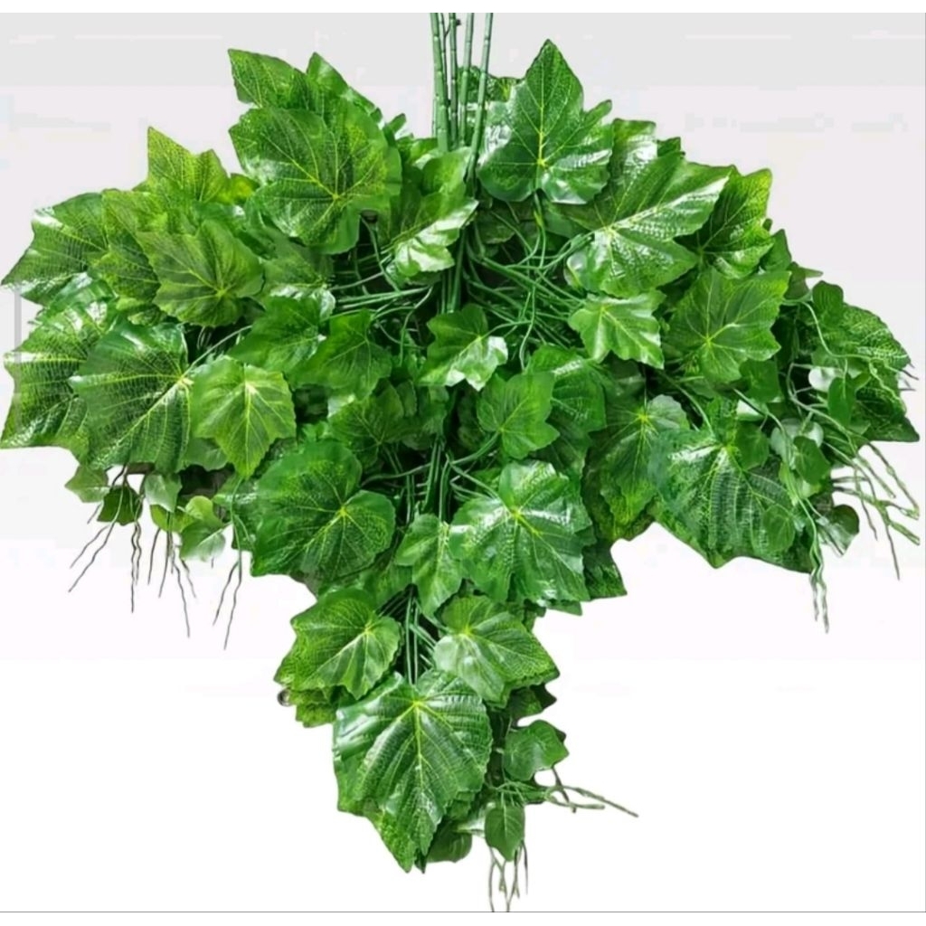 Daun Anggur Plastik