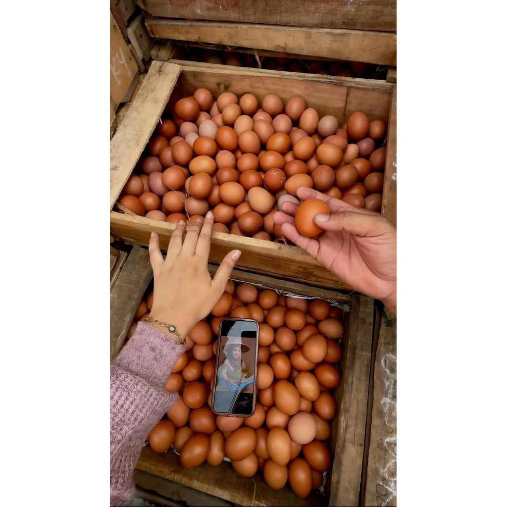 TELUR INSTAN JOMBANG 1peti (10kg)