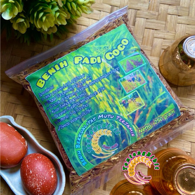 Benih padi gogo / bibit padi huma / bibit padi darat 250 gram