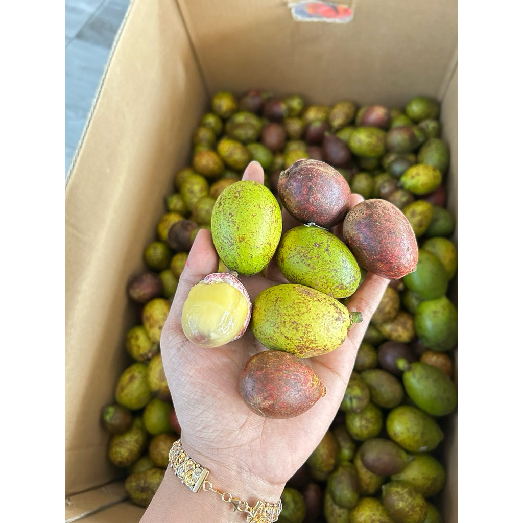 MATOA 1Kg
