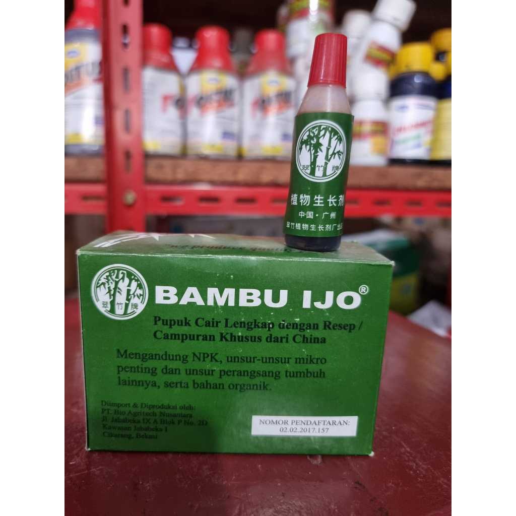 ZPT Bambu Ijo