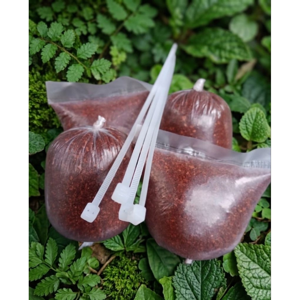 cocopeat siap pakai, cocopeat gratis tali, cocopeat kemasan praktis, cocopeat media tanam, cocopeat 