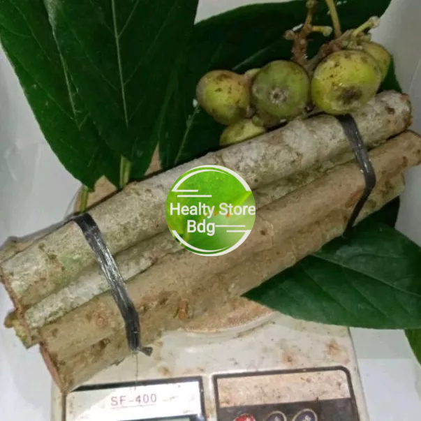 

Jual batang pohon bisoro segar 1 kg