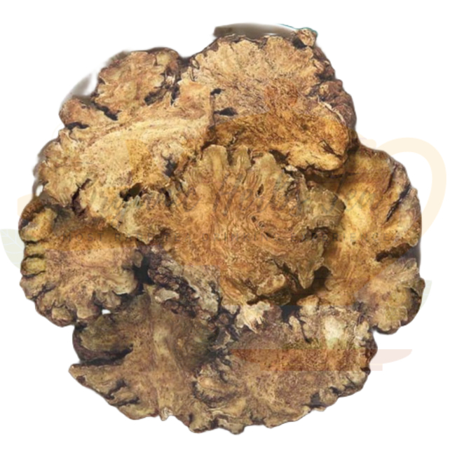 

CHUAN KIONG/CHUAN XIONG/SICHUAN LOVAGE RHIZOMA SLICE/