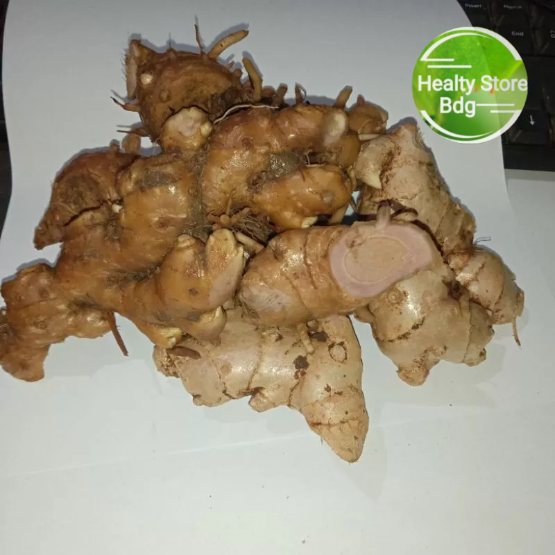 

Rimpang bangle temu hitam atau Panglai segar 500 gram