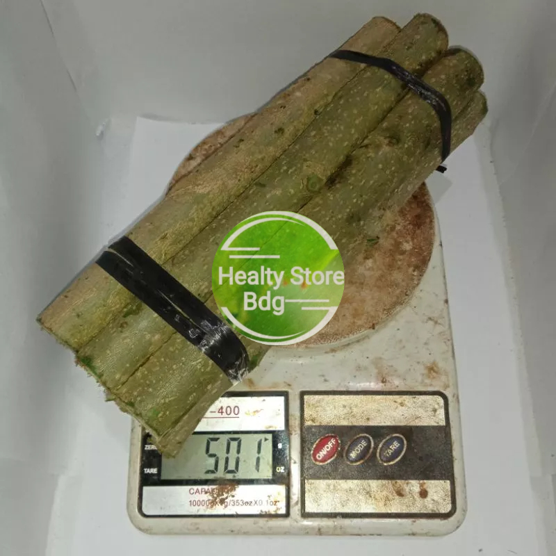 

Batang Pohon Talingkup segar 500 gram