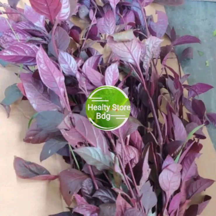 

Daun Handeuleum Sieum daun ungu segar 250 gram