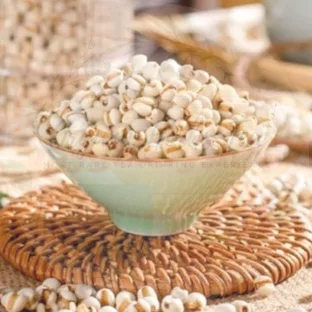 

BIJI BARLIE/BARLEY/PEARL BARLEY/ORGANIC PEARL BARLEY SEEDS/JALI-JALI/YU MI