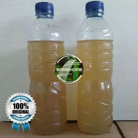 

Air Nira Asli Air Lahang Aren 600 mili