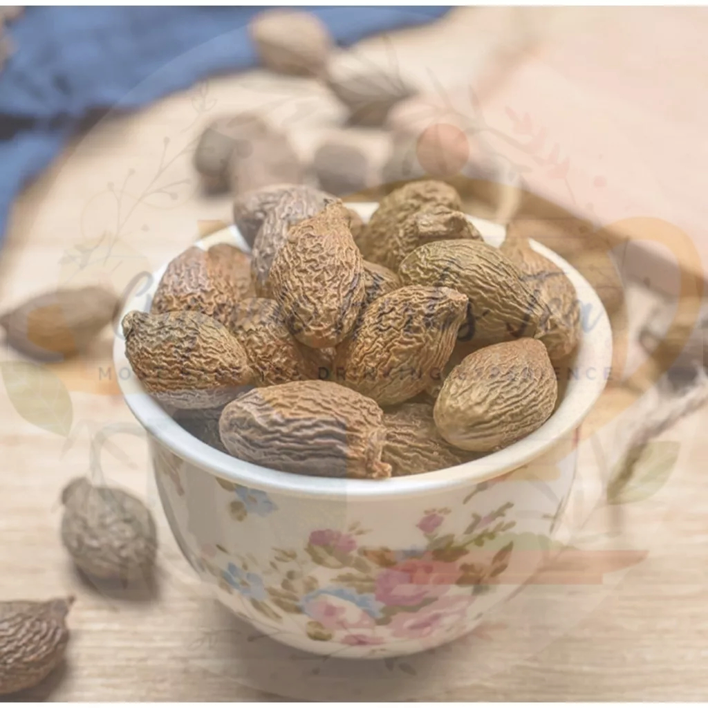 

PANG DA HAI/PANG TA HAI/MALVA NUT/TAIWAN SWEET GUM/TEMPAYANG/BUAH SEMANGKUK/胖大海