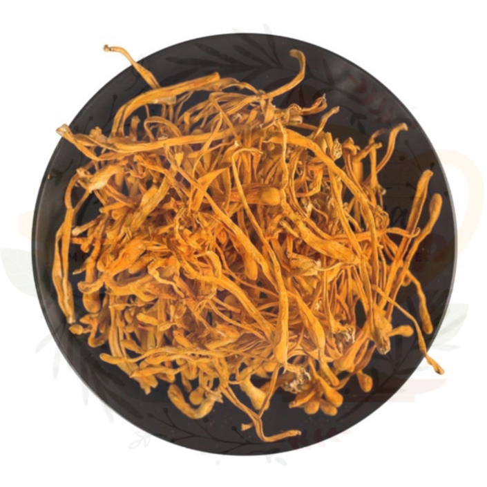 

CORDYCEPS MILITARIS/CORDYCEPS MUSHROOM FLOWER/BUNGA JAMUR CORDYSEPS/JAMUR BUNGA CORDYCEPS MILITARIS/CHONG CAO HUA /(虫草花 )