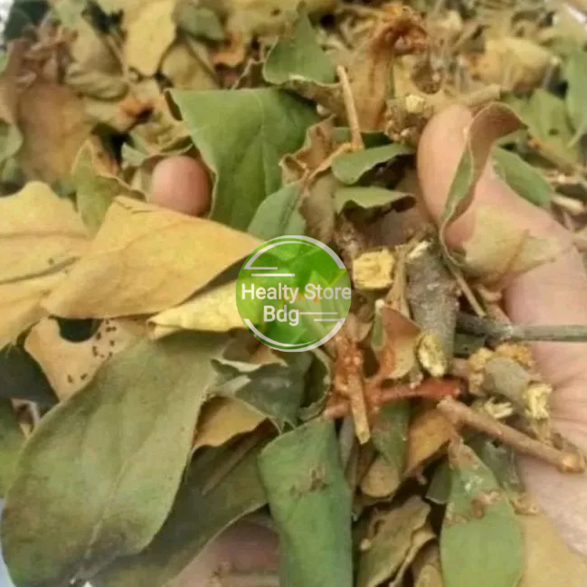 

Teh benalu jeruk nipis kering 500 gram