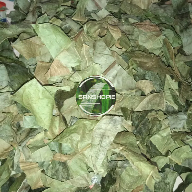 

Daun Kemiri atau muncang kering 100 gram