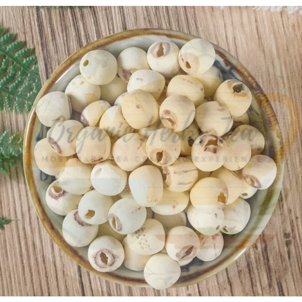 

BIJI TERATAI/LIEN ZHE/LIEN CHI/LOTUS SEED/MEMBANTU MENJAGA KESEHATAN GINJAL