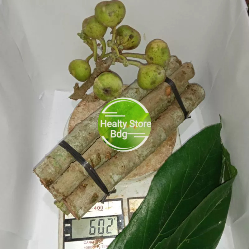 

Jual batang pohon bisoro segar 500 gram