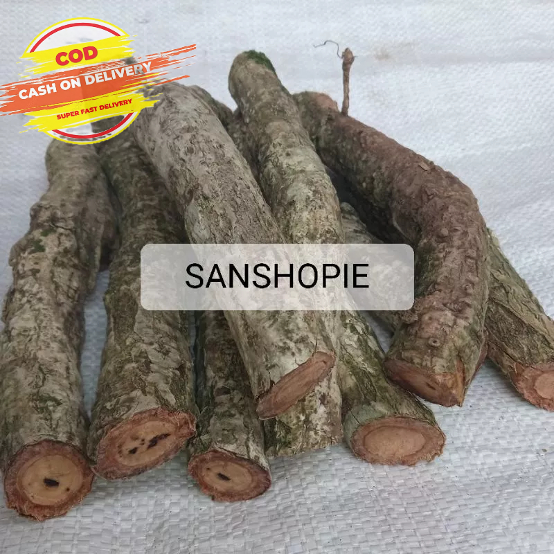 

Akar kayu waru segar 500 gram Organik