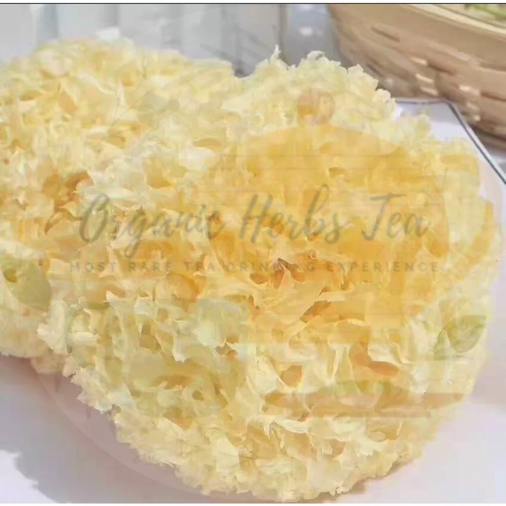 

JAMUR PUTIH SALJU/JAMUR SALJU/JAMUR PUTIH/SNOW WHITE FUNGUS/YIN ER/BAI MU ER