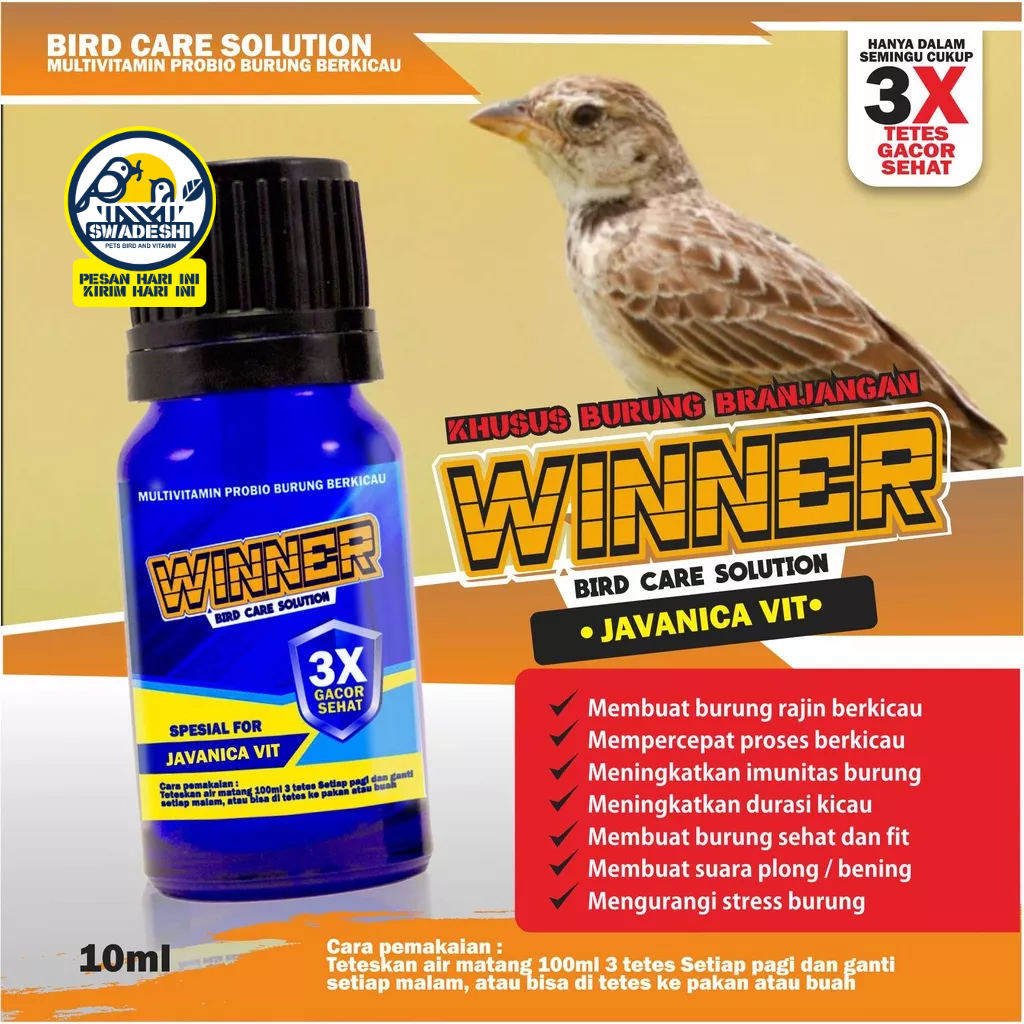 PENGGACOR BRANJANGAN SONCA WINNER - BISA TETES DI AIR MINUM & PAKAN BURUNG