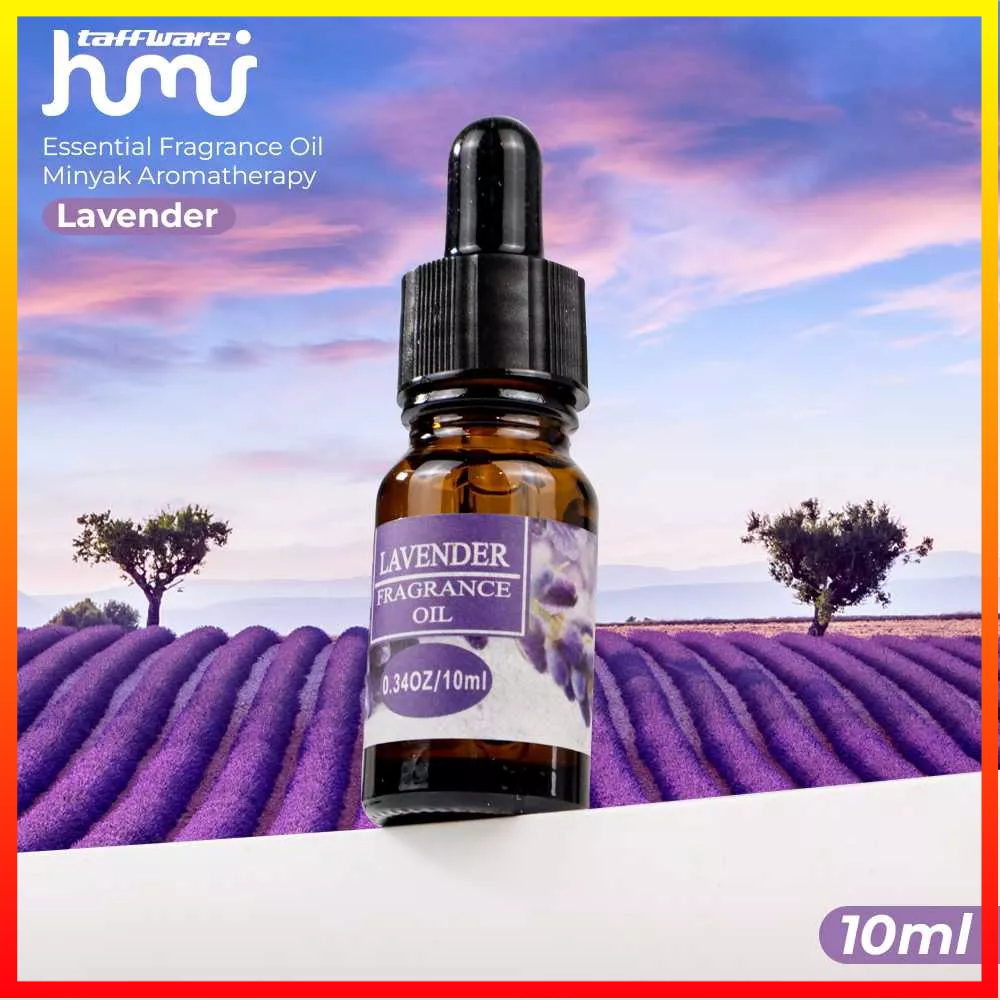 Pengharum Ruangan Diffuser Pelembap Pure Essential Fragrance Oils Minyak Aromatherapy Khusus Larut Dalam Air 10ml - 7RHXEGXX