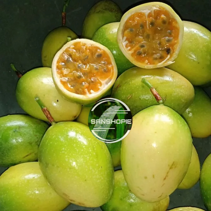 

Buah Saprola Atau Markisa Segar Rasa Asem manis Paket 2 Kg