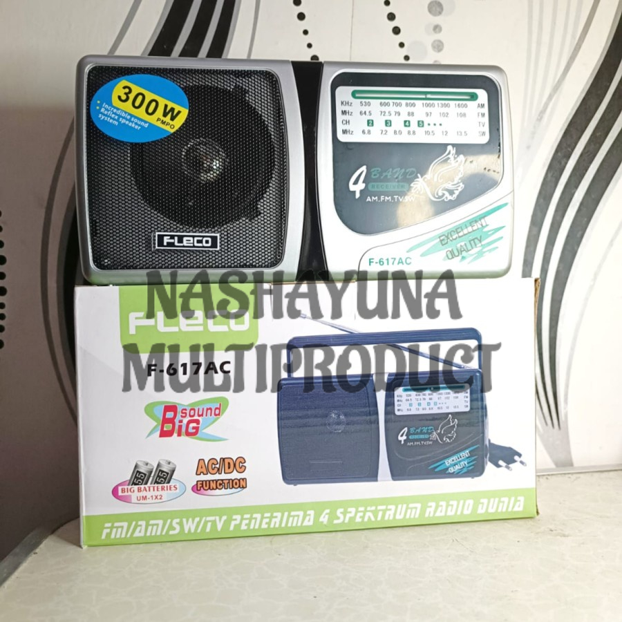 RADIO BIG SOUND FLECO F-617AC 4 SPEKTRUM RADIO DUNIA