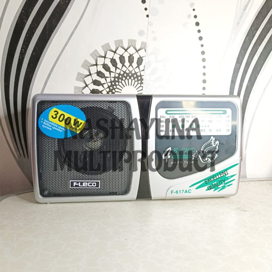 RADIO BIG SOUND FLECO F-617AC 4 SPEKTRUM RADIO DUNIA