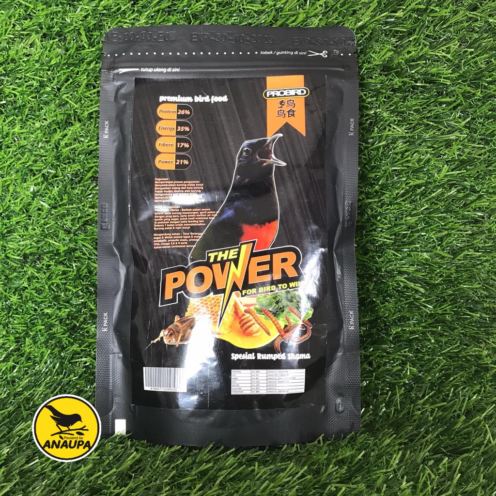 VOER MURAI BATU SHAMA PLUS PAKAN MAKANAN BURUNG MURAI HIGH PROTEIN