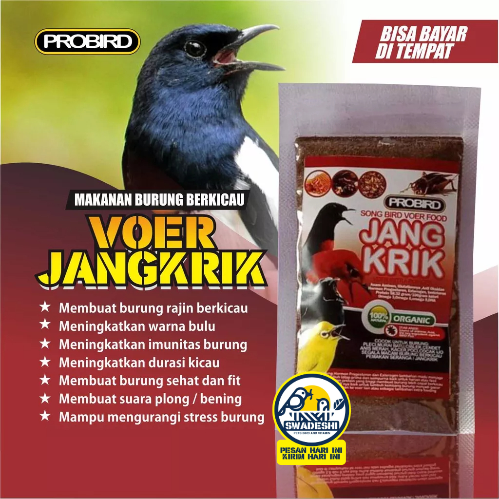 VOER JANGKRIK PROBIRD SPESIAL JANGKRIK KERING EXTRA FOODING