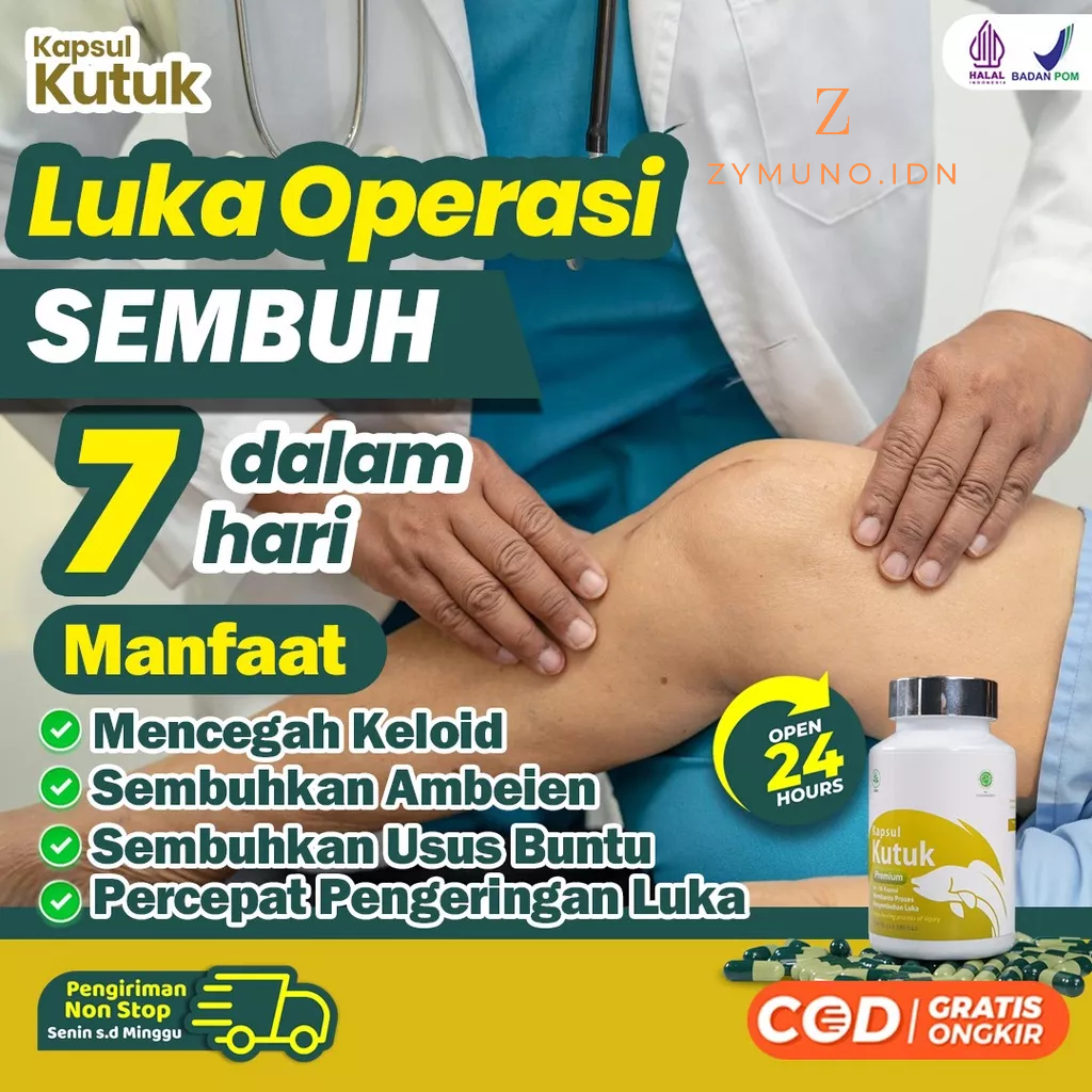 Kapsul Kutuk || Kutuk 5x Lebih Cepat Keringkan Luka Bekas Operasi Sesar 100% Asli – Ekstrak Ikan Gabus Albumin Perbaiki Jaringan Sel Tubuh Percepat Proses Penyembuhan Luka Isi 60 Kapsul 500mg