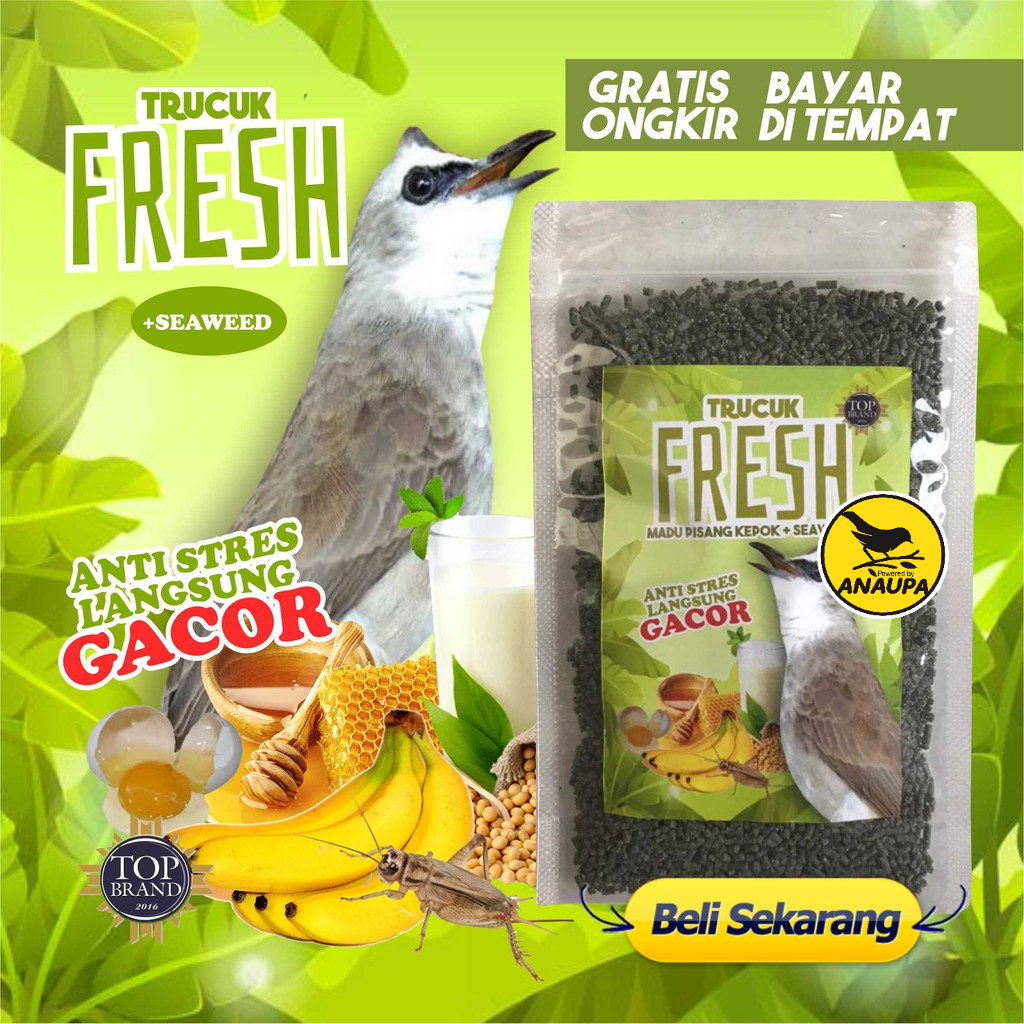 

MAKANAN BURUNG TRUCUK FRESH EXTRA MADU DAN PISANG KEPOK NUSANTARA + SEAWEED