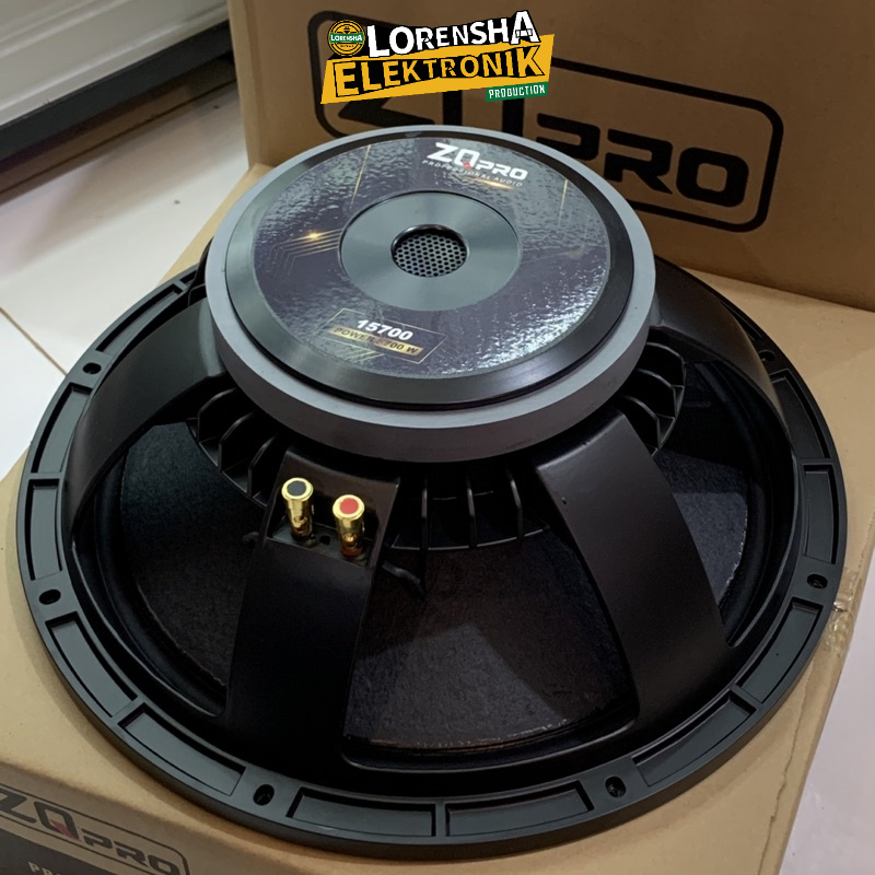 Speaker 15 Inch ZQ Pro 15700