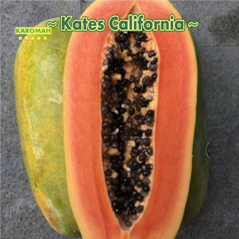 

buah kates / buah pepaya California utuh 1buah ( 2KG & 2.5 ) manis madu