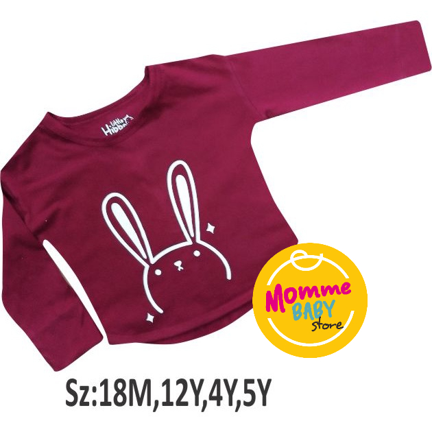 Baju Anak Long Sleeve Lengan Panjang Little Hippo / Kaos anak long sleeve Littlehippo