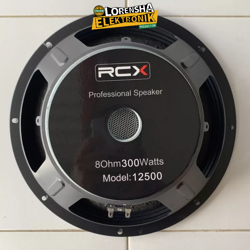 Speaker RCX 12 Inch 12500 Power 300Watt