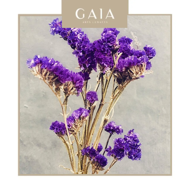 Bunga Kering Dried Statice Impor Violet