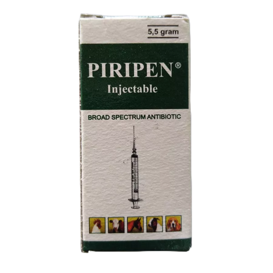 PIRIPEN Penstrep injek 5,5 Gram Serbuk Antibiotik Penicilin Hewan