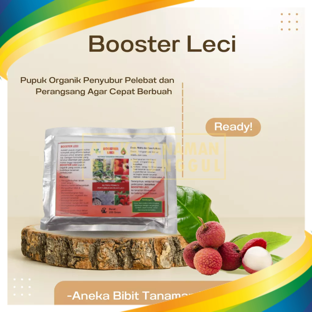 Booster Tanaman Buah Leci / Pupuk Pembantu Pohon Leci Cepat Berbuah