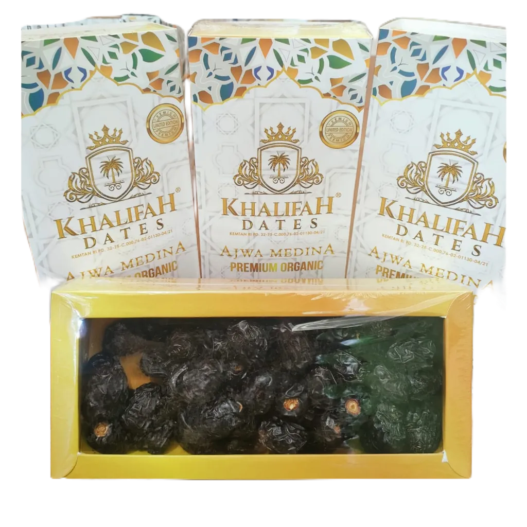 Kurma Ajwa Organik 500gr Aliyah Organic Asli Kurma nabi | Kurma Ajwa Premium Khalifah Dates | Kurma 