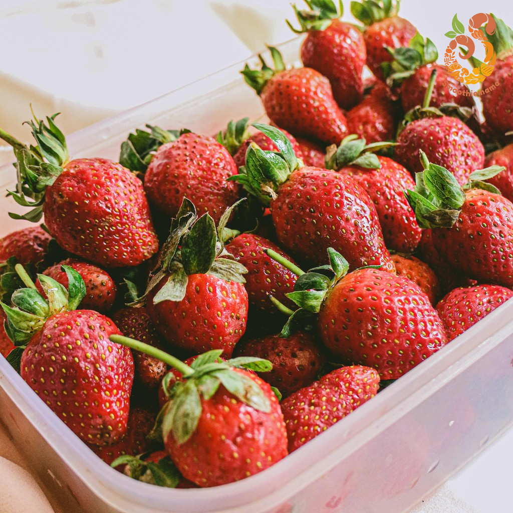 

SMOOTHIEMAMA Stroberi Fresh Lokal Ciwidey Premium 1kg