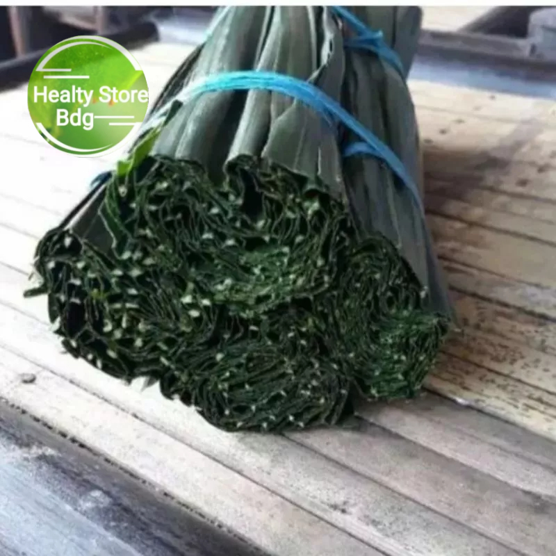 

Daun Pohon Pinang Segar 500 Gram
